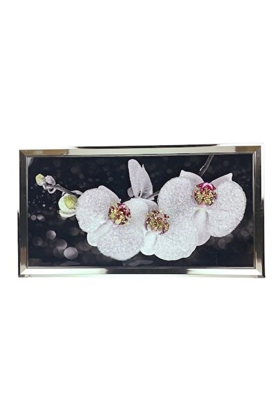 OEM Tablou, Rama Plastic, Aspect Nichelat, 107X57cm, Orhidee