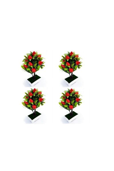 OEM Set 4 Ghivece din Plastic cu Pomisor cu Fructe, M2, 12x24 cm