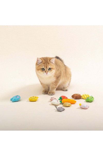 COOYA Cat Catnip Toys Stuffed Doll Toy 10pcs Interactive Bite Teeth Cleaning Chewing Toy for Small Pets