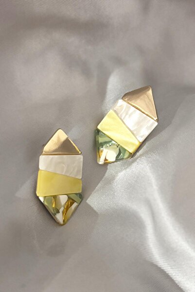 New Obsessions Acrylic Geometric Earrings