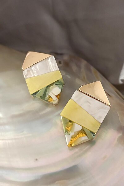 New Obsessions Acrylic Geometric Earrings