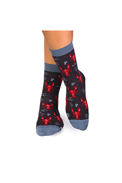 Pirin Hill Sosete bumbac Fine Cotton Sealife Homar Antracit