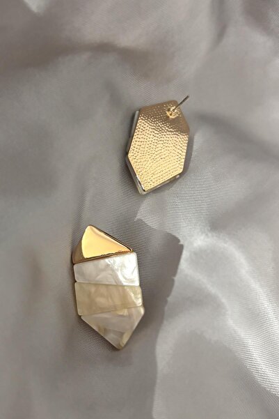 New Obsessions Acrylic Geometric Earrings