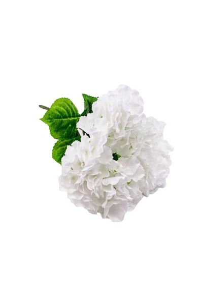 OEM Buchet de hortensii albe, 52x27 cm