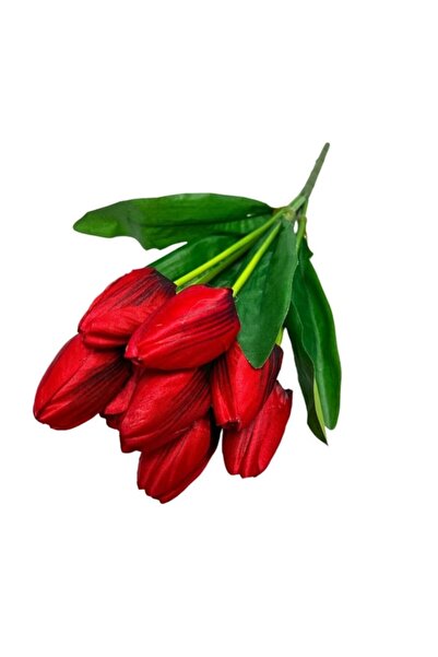 OEM Buchet de lalele boboci, 9 fire 40x20 cm rosu