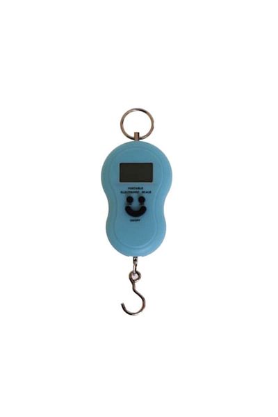 Ecoleduri Portable Electronic Hand Scale, Max 40 kg