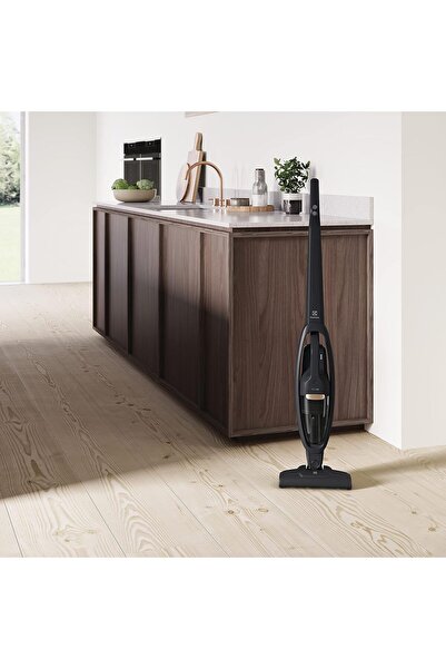 Electrolux Cordless Vacuum Cleaner WQ61-1OGG, 18V, Granite Grey