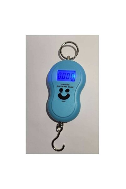 OEM Portable Handheld Digital Scale with Illuminated Display, Blue