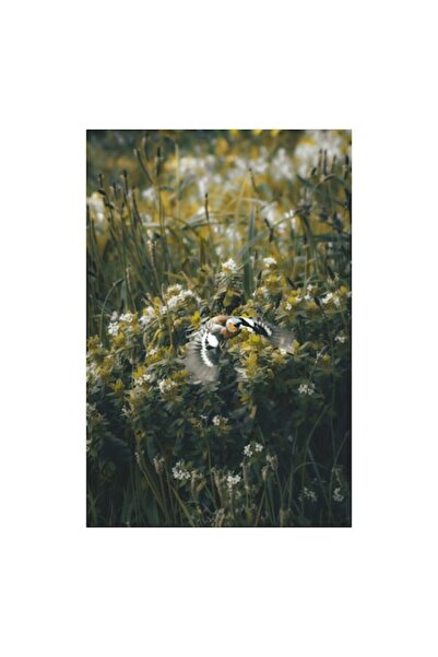 OEM Tablou Canvas, 'Zborul pasarii printre flori salbatice', Fluturi, Flori, ...