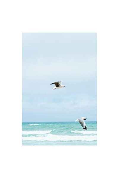 OEM Tablou Canvas, "Pescarusii zboara deasupra marii albastre", 50 x 90cm