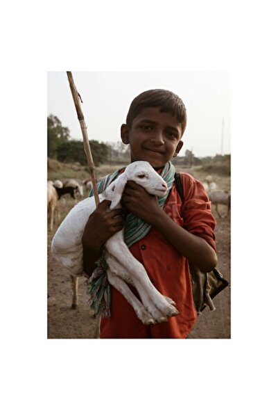 OEM Tablou Canvas, "Baiatul si iedul alb imbratisati", 50 x 90cm