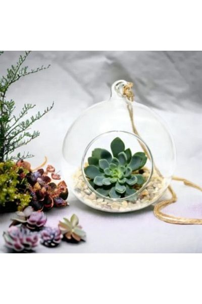 OEM Glob Sticlă Terariu Rotund, 11cm