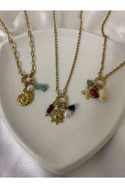 stainless steell Interchangeable Steel Necklace with Charms