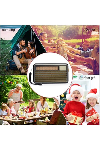 Denx Portable Wireless Speaker with Classic Design, Bluetooth Technology and Hi-Fi, with FM/AM/SW Radio,