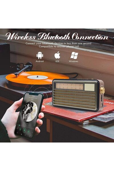 Denx Portable Wireless Speaker with Classic Design, Bluetooth Technology and Hi-Fi, with FM/AM/SW Radio,