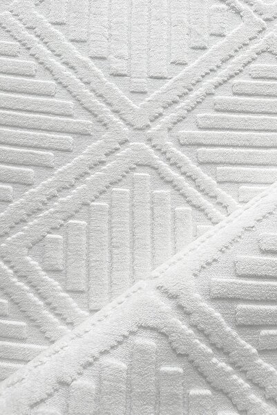 Decomia Home Hilda Premium Plush Soft Shaggy Rug Non-Slip Area Rug for Living Room & Kitchen & Bedroom