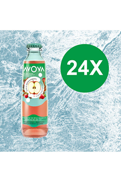 AVOYA Elma, Tarçın ve Karanfil Aromalı Maden Suyu 24x200 ML