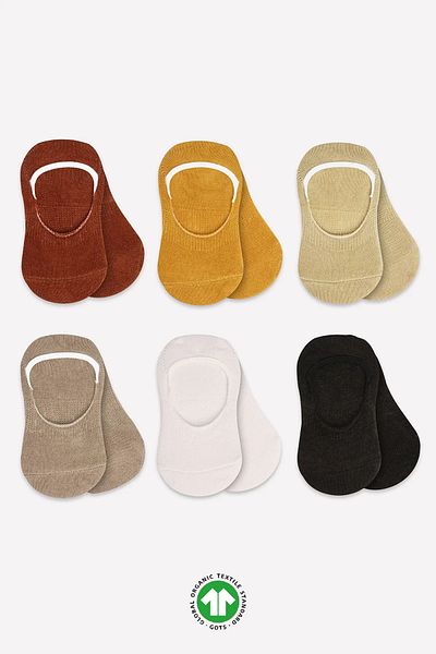 Eng Mix babet socks 6-pack earth