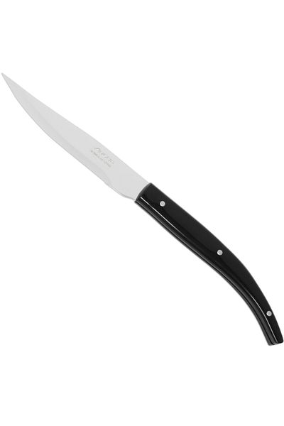 ARCOSS Nóż do steków pieczonych mięs STEAK BASIC dł. 110/230 mm
