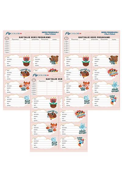 FLY COLOR Motivational Lesson Planned School Label 3 Sheets
