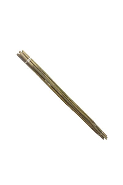 PROCART Bamboo stake for plant support, diameter 14 mm, length 180 cm