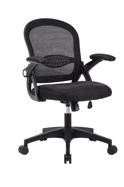 AGD Office Chair, Adjustable Low Back Mesh Chair with Foldable Armrests and Comfortable Lumbar Suppo
