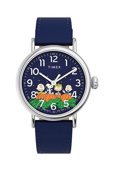 Timex Standard x watch for men