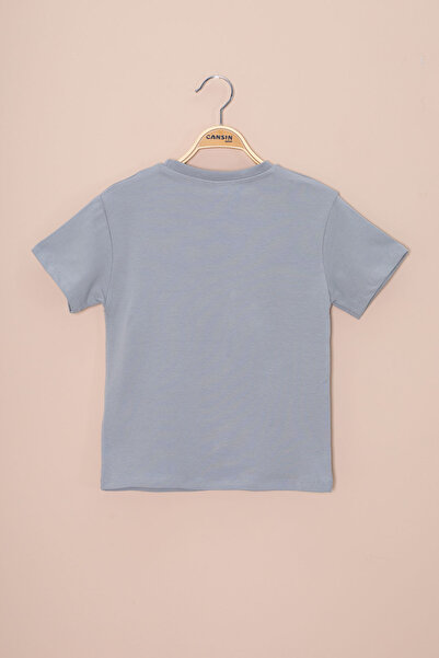 Cansın Mini Smoked Car Printed Embroidery Detailed Boys' Crew Neck T-Shirt 20955