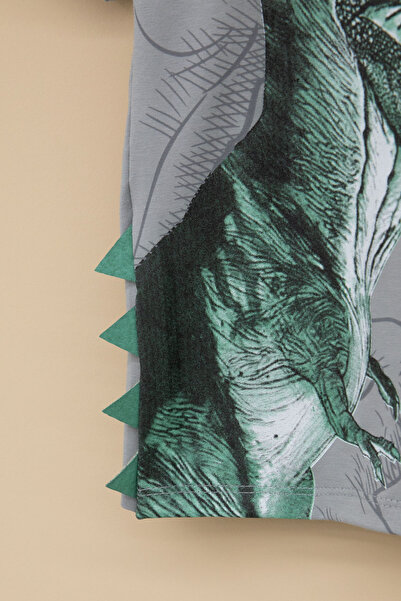 Cansın Mini Smoked Dinosaur Printed Crew Neck Baby Boy T-Shirt 20951