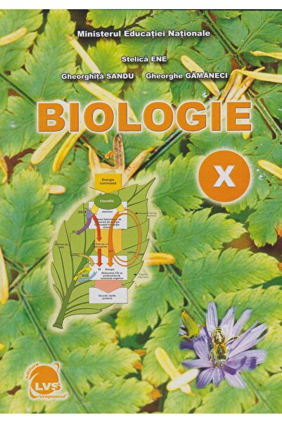 Editura LVS Crepuscul Biologie. Manual pentru clasa a X-a, Stelica Ene