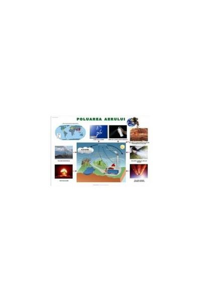 Editura Rovimed Publishers Air pollution and its effects (school board,