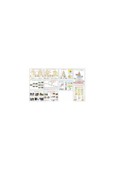 Editura LVS Crepuscul Technological education worksheets for grades V-VIII.