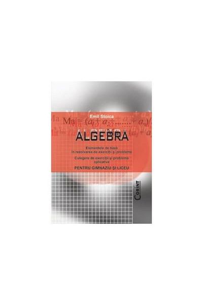 Editura Corint ALGEBRA - the basics in solving exercises