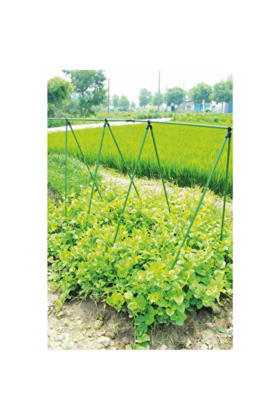 PROCART Climbing plant trellis, type A, height 180 cm, rods 16 mm, mesh 1.8x3.2 m