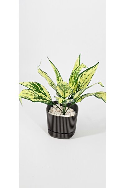 YASİMA Kılıç Çiçeği Sarılı 6 Dallı 25 Cm Ev Dekor Saksı Süsü