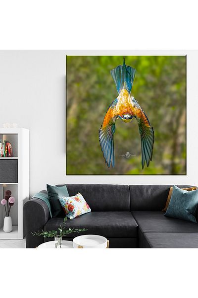 RsStyle Print Tablou Canvas - Viteza Naturii – Eleganta si Precizia in Zbor, 120x80cm