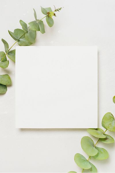 Artavessa 5 τεμάχια λευκό MDF βάση τούρτας και διακοσμητικό πάνελ MDF πολλαπλών χρήσεων