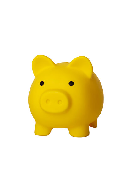 OEM Cheltusel - Pusculita educativa pentru copii din PVC - nu se sparge