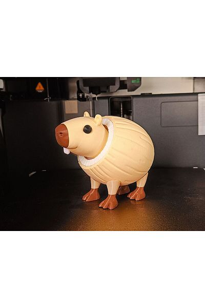 petadora Burbaloni Luliloli Articulated Toy Italian Brainrot