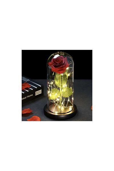 MT MALATEC Trandafir criogenic, 100 petale, iluminare LED, lumină albă caldă, sticlă/plastic, 22x11,5 cm, roșu