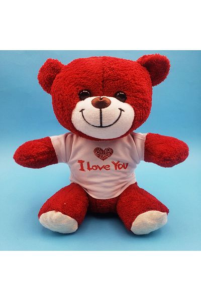 CONAHOME Red I Love You Teddy Bear