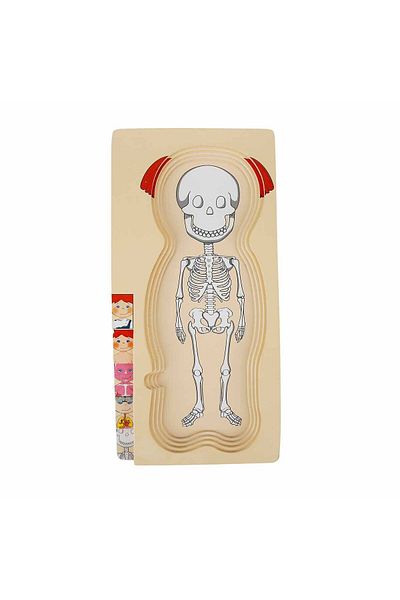 Sunman 2917 Sun-Board Puzzle Human Body