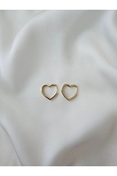 Zivazer Store Kadın Çelik Kararmaz Xuping Kalpli Küpe