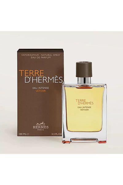 Hermes Terre d'Hermes Eau Intense Men's Perfume 100 ml