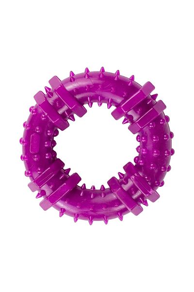 Agility Jucarie pentru caini, forma de Inel cu Tepi, 12 cm, mov
