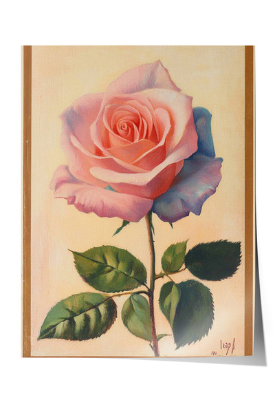Zestia Αφίσα χωρίς πλαίσιο, Ροζ τριαντάφυλλο, Ρεαλιστική εικονογράφηση λουλου...