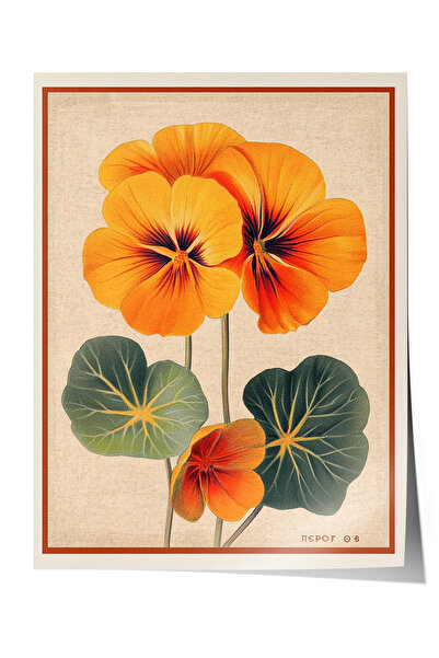 Zestia Плакат без рамка, оранжево-виолетов, винтидж флорална илюстрация Плака...