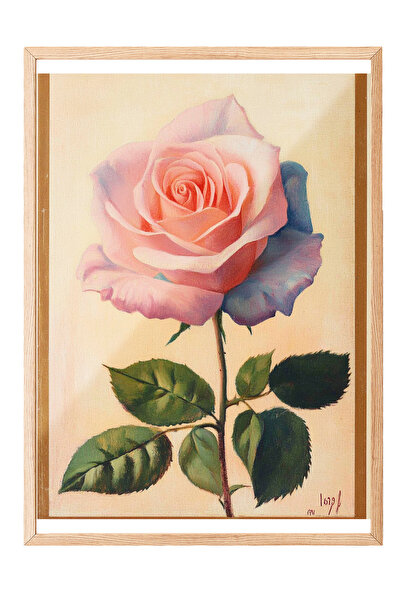 Zestia Εικονογράφηση με ξύλινο πλαίσιο, Ροζ τριαντάφυλλο, Ρεαλιστική εικονογρ...