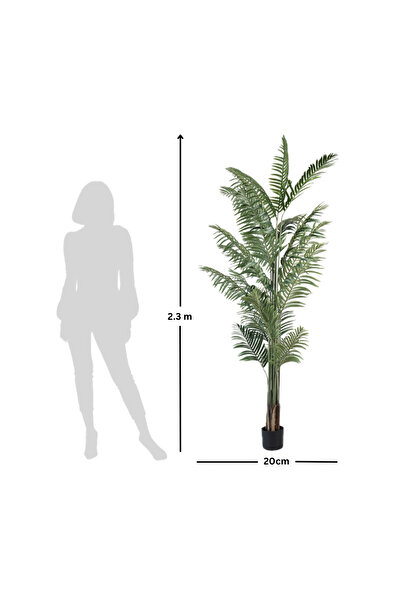Leafora Kentia Palm Tree – 230 cm