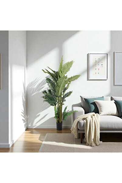 Leafora Kentia Palm Tree – 150 cm